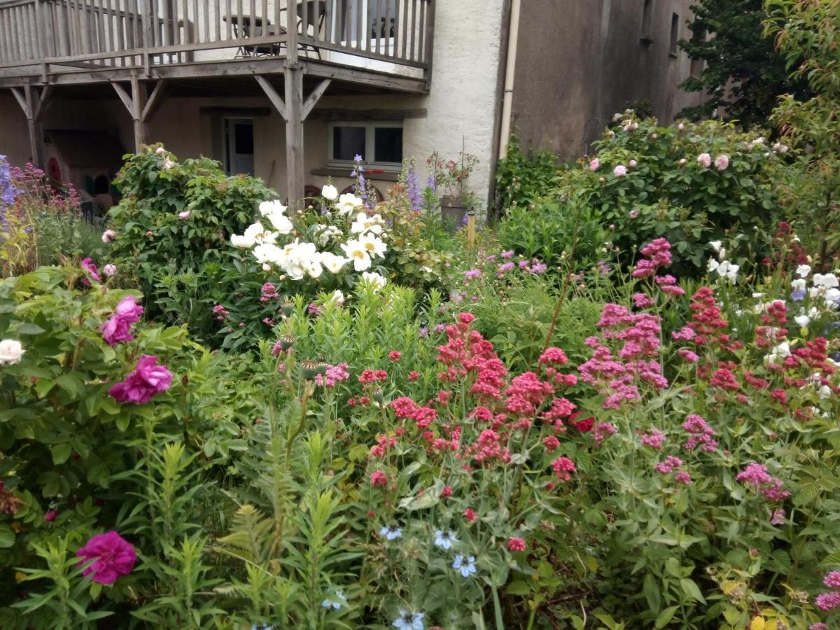 Bed and Breakfast La Grange Aux Hirondelles Athienville Exteriér fotografie